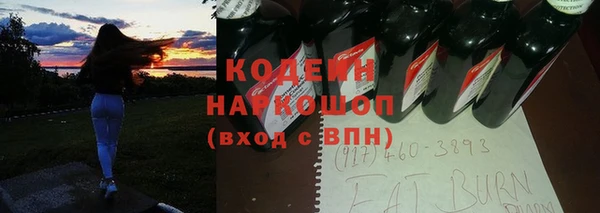 ГАЛЛЮЦИНОГЕННЫЕ ГРИБЫ Верея