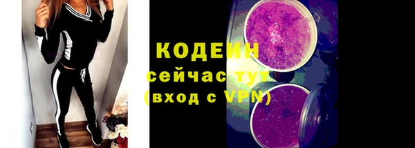 ГАЛЛЮЦИНОГЕННЫЕ ГРИБЫ Верея