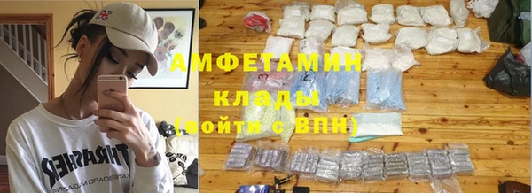 ГАЛЛЮЦИНОГЕННЫЕ ГРИБЫ Верея