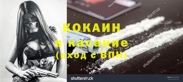 ГАЛЛЮЦИНОГЕННЫЕ ГРИБЫ Верея
