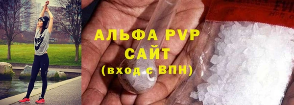 ГАЛЛЮЦИНОГЕННЫЕ ГРИБЫ Верея