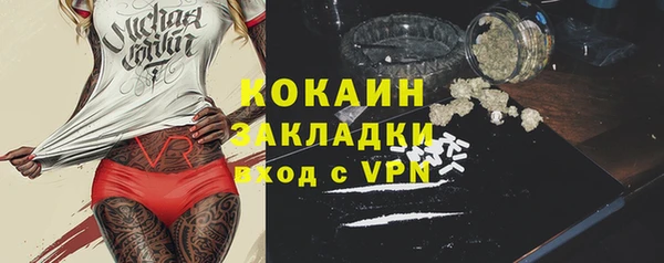 ГАЛЛЮЦИНОГЕННЫЕ ГРИБЫ Верея