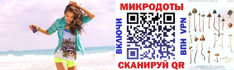 Купить закладки  Грайворон  Галлюциногенные грибы мухоморы 