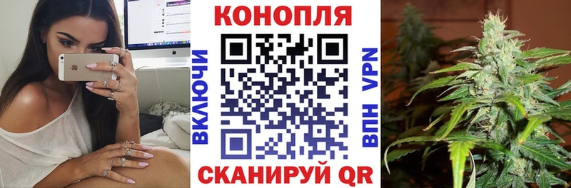 Канабис OG Kush  Купить  Грайворон 